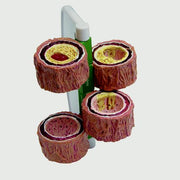 Artery sections (4) (oversized) - with Handle