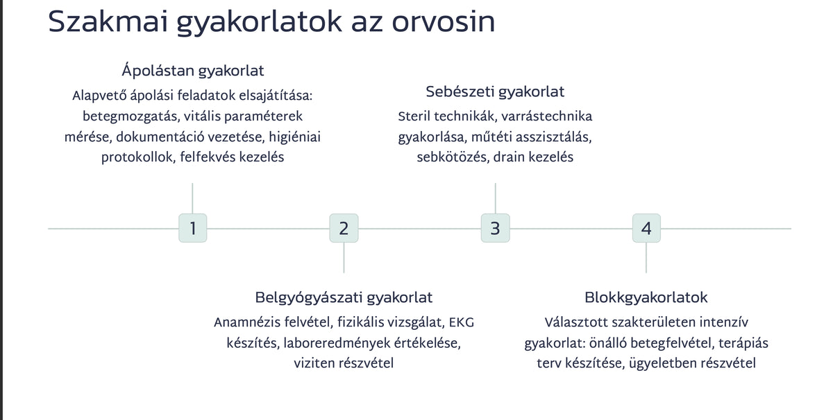 PREZI: Így végeztem el az orvosit – 3. kép