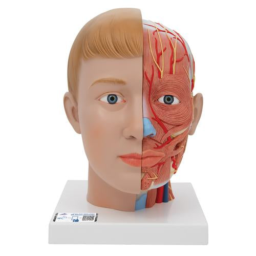 Fej nyakkal, 4 részes